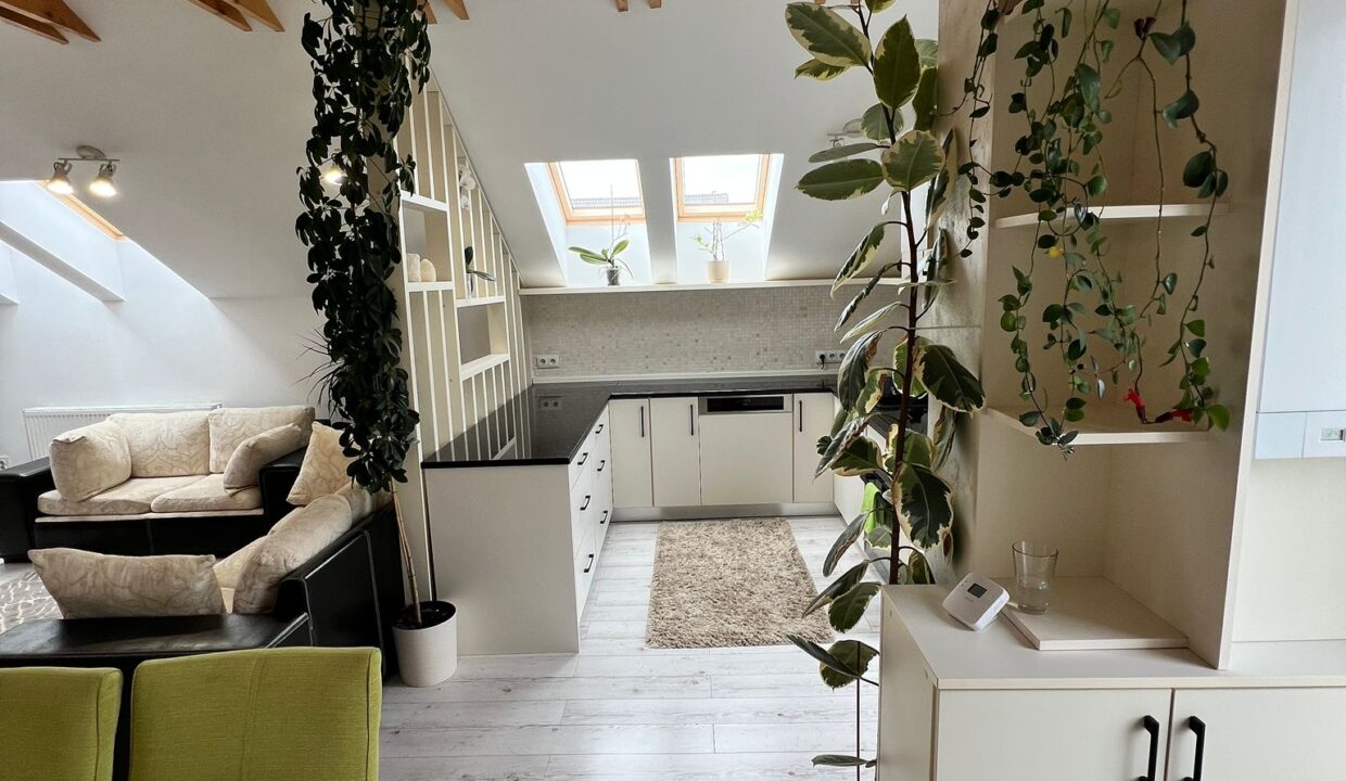 WhatsApp Image 2025-06-20 at 17.44.30 (1)