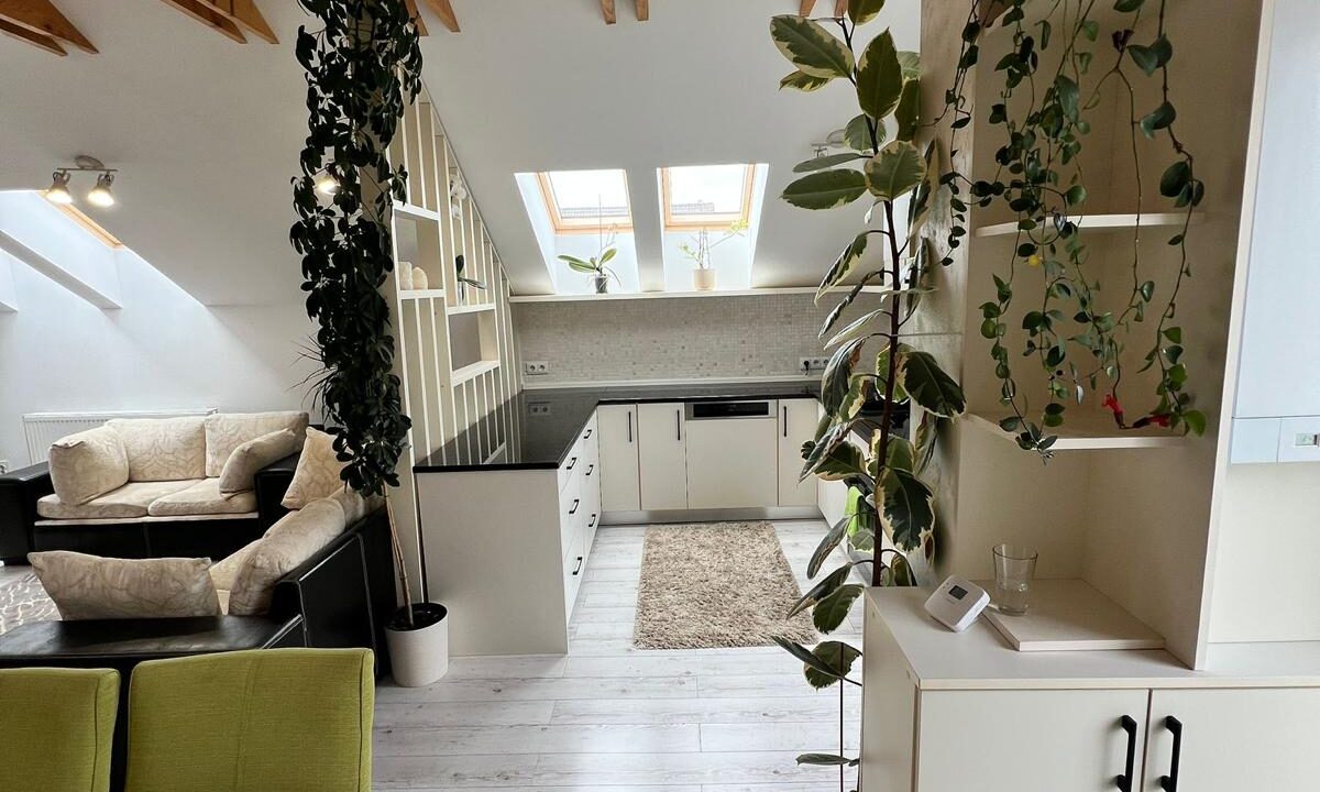 WhatsApp Image 2025-06-20 at 17.44.31 (3)